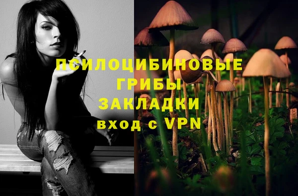 прущие крисы Кукмор