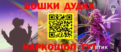 шишки Балахна