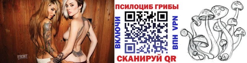 цены наркотик  Муром  Псилоцибиновые грибы Magic Shrooms 